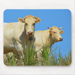 Kühe in Frankreich Mousepad
