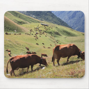 Kühe in Tarentaise Tal - Tarine Rennen Mousepad