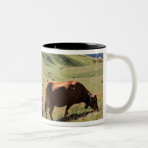 Kühe in Tarentaise Tal - Tarine Rennen Zweifarbige Tasse