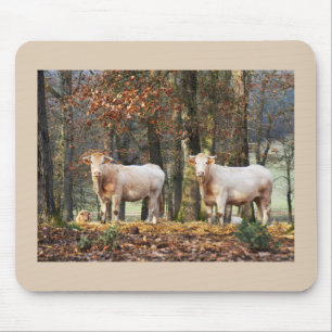 Kühe in Wald, Frankreich Mousepad