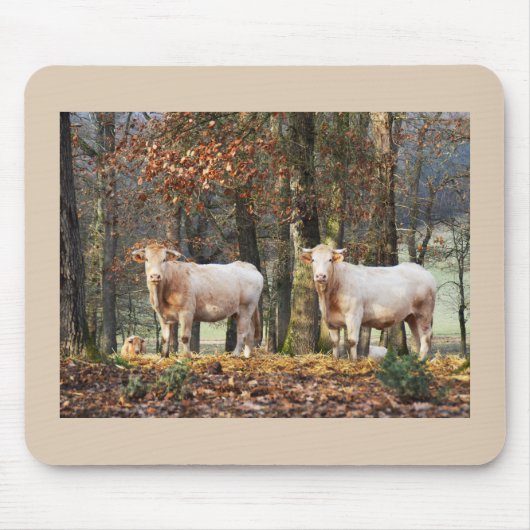 Kühe in Wald, Frankreich Mousepad (Vorne)