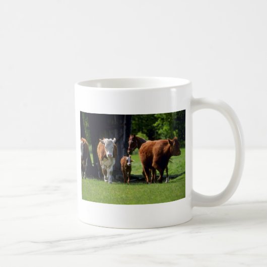 Kühe Kaffeetasse (Rechts)