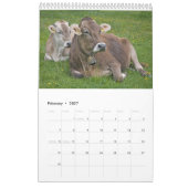 Kühe Kalender (Feb 2027)