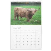 Kühe Kalender (Jan 2027)