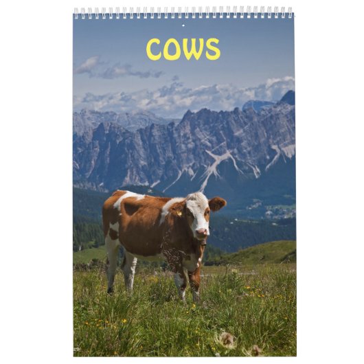 Kühe Kalender (Titelbild)