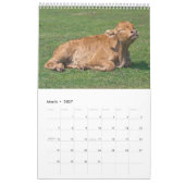 Kühe Kalender (Mär 2027)