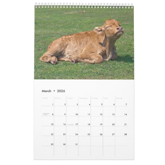 Kühe Kalender (Mär 2026)