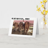 KÜHE MACHEN GROSSE GRUPPENKARTE ZUM GEBURTSTAG KARTE (Gelbe Blume)