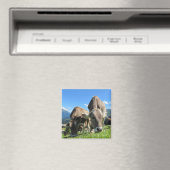 Kühe Magnet (In Situ (Geschirrspüler))