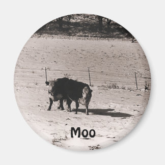 Kühe Magnet