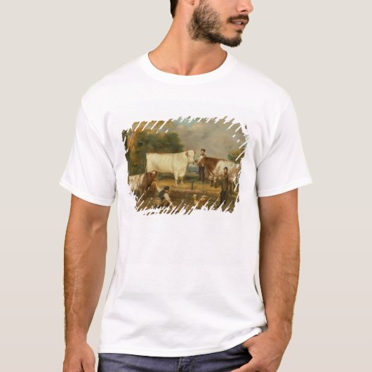 Kühe mit einem Hirt T-Shirt (Vorderseite)