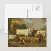 Kühe mit Hirten Postkarte (Vorne/Hinten)