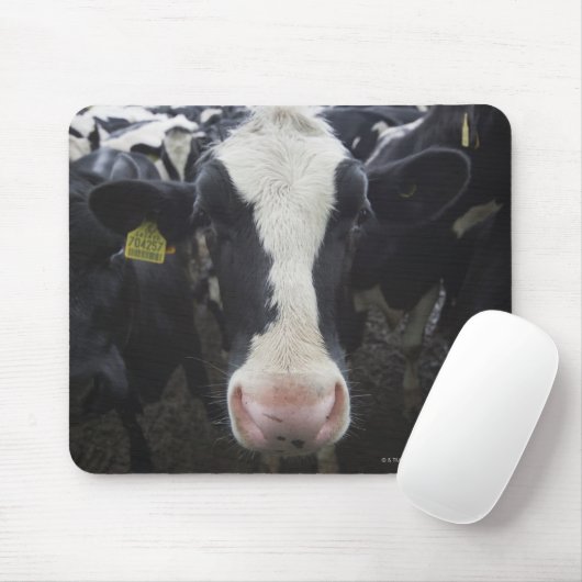 Kühe Mousepad (Mit Mouse)