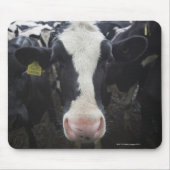 Kühe Mousepad (Vorne)