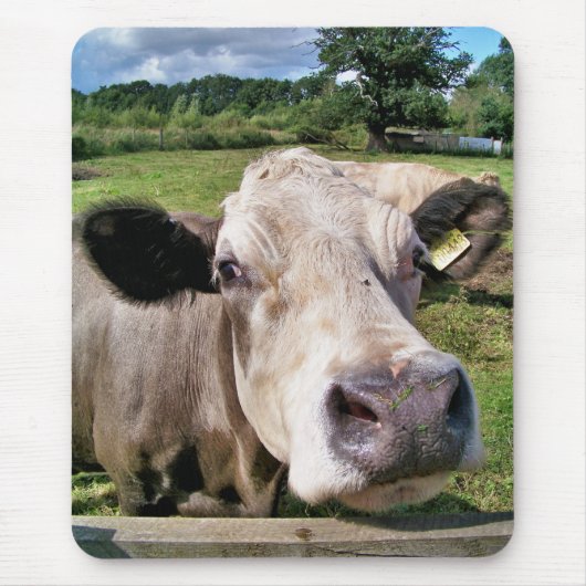 KÜHE MOUSEPAD (Vorne)