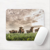 Kühe Mousepad (Mit Mouse)