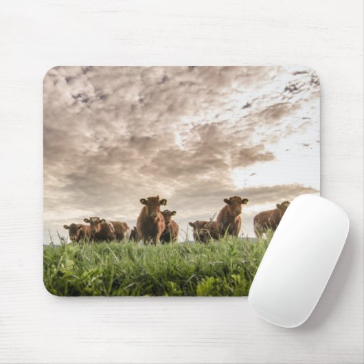 Kühe Mousepad (Mit Mouse)