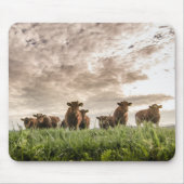 Kühe Mousepad (Vorne)