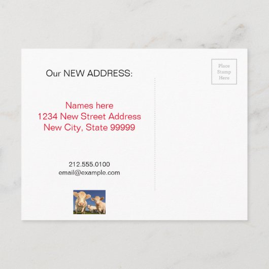 Kühe Neue, sonnige Adresse, die wir bewegt haben Ankündigungspostkarte (Rückseite)
