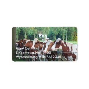 Kühe neugierig adressaufkleber