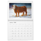 KÜHE: Originalvorlage der verschiedenen Kühe Kalender (Jan 2027)