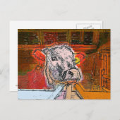 KUHE POSTKARTE (Vorne/Hinten)