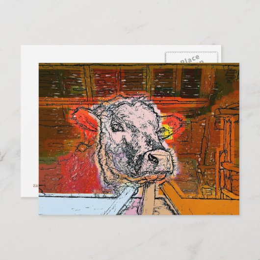 KUHE POSTKARTE (Vorne/Hinten)