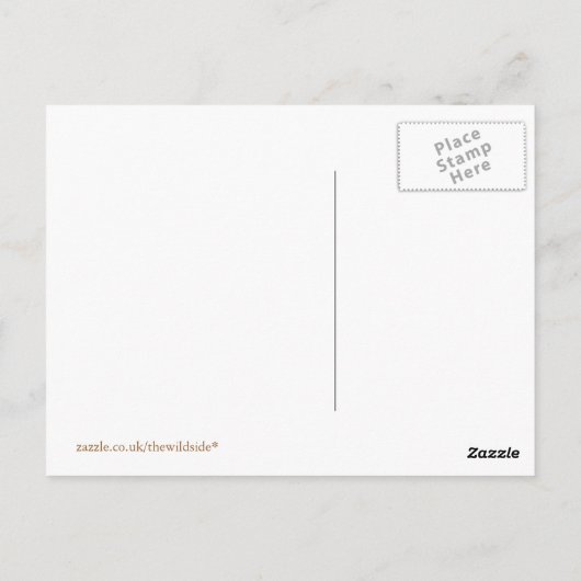 KUHE POSTKARTE (Rückseite)