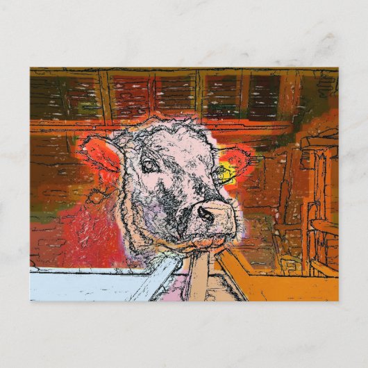 KUHE POSTKARTE (Vorderseite)