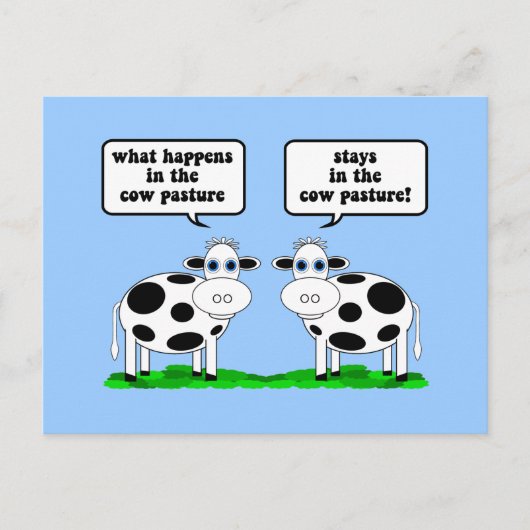 Kühe Postkarte (Vorderseite)