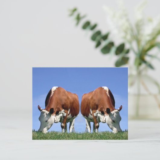 Kühe Postkarte (Stehend Vorderseite)