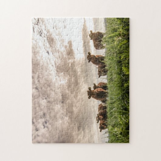 Kühe Puzzle (Vertikal)