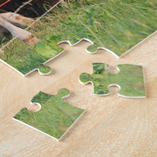 Kühe Puzzle (Seite)