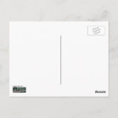 Kühe Reflektionen im Wasser Postkarte (Rückseite)