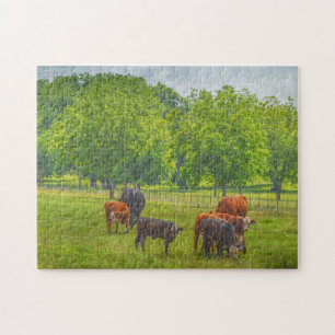 Kühe Rinder Art Texas Landschaft Puzzle