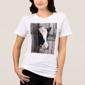 Kühe sind Phantastischer T - Shirt (Vorderseite)