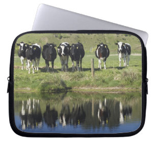 Kühe spiegeln sich im Kanal, Henley, Taieri-Ebene, Laptopschutzhülle