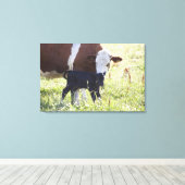 Kühe und Kalb Leinwanddruck (Insitu (Holzboden))