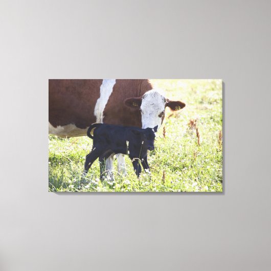 Kühe und Kalb Leinwanddruck (Vorderseite)