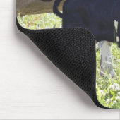 Kühe und Kalb Mousepad (Ecke)