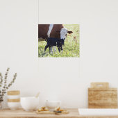 Kühe und Kalb Poster (Küche)