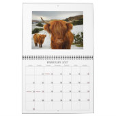 Kühe und Kälber - Kalender 2015 (Feb 2027)