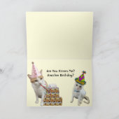 Kühe und Katzen Geburtskarte Karte (Innenseite)