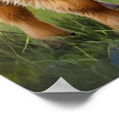 Kühe und Regenbogen Kinderzimmer Art Poster (Ecke)