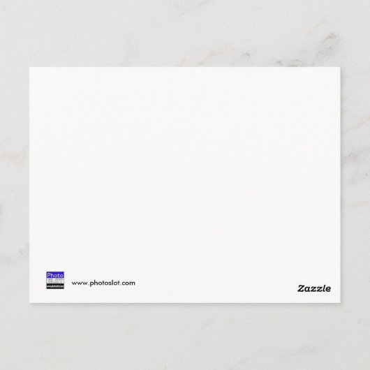 Kühe und Stechernetze Postkarte (Rückseite)