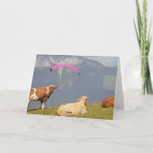 Kühe verlassend Karte (Rückseite)