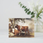 Kühe von Potter Postkarte (Stehend Vorderseite)
