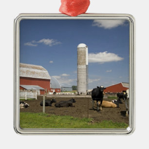 Kühe vor einer roten Scheune und einem Silo auf ei Silbernes Ornament