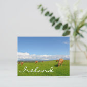 Kühe weiden auf einer Wiese in Irland Text Postkar Postkarte (Stehend Vorderseite)
