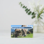 Kühe Weiden Visitenkarte (Stehend Vorderseite)